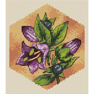 Соты. Красавка