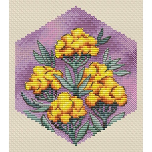 Соты. Бессмертник