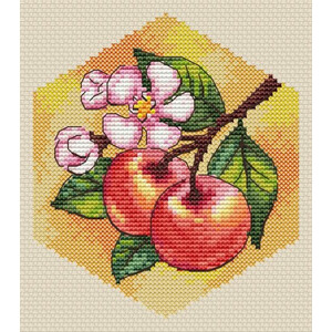 Соты. Яблоня