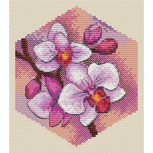 Соты. Орхидея