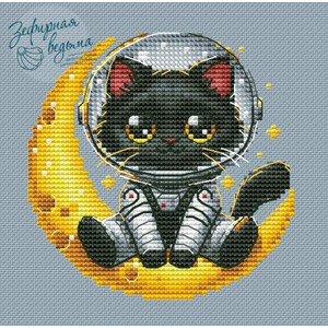 Кошечка Юка – космонавт