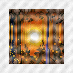 Свет в природе 6