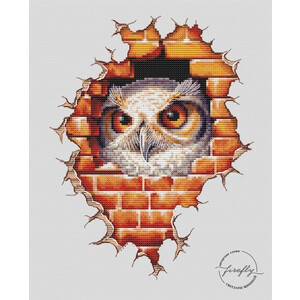 Сова-сплюшка