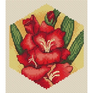 Соты. Гладиолус