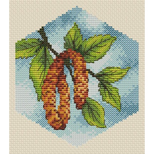 Соты. Береза