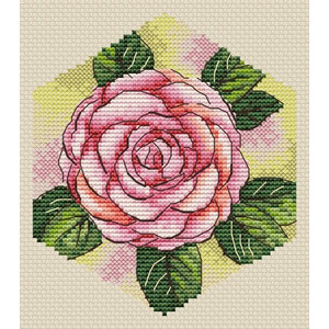 Соты. Камелия