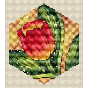 Соты. Тюльпан