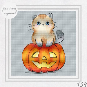 Кот на тыкве