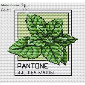 Pantone. Листья мяты