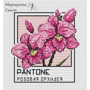 Pantone. Розовая орхидея