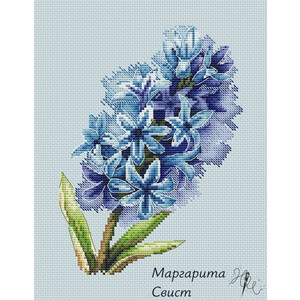 Весенний гиацинт