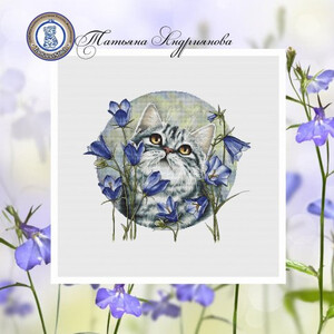 Шотландский кот в колокольчиках