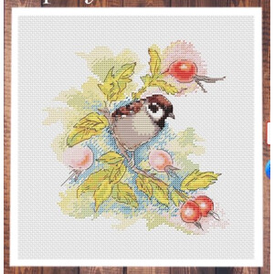 Воробушек на ветке