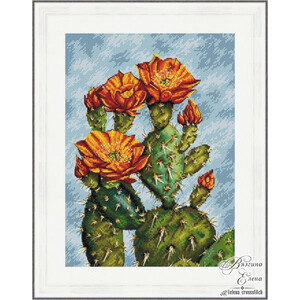 Цветы пустыни