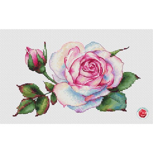 Роза Эден с бутоном