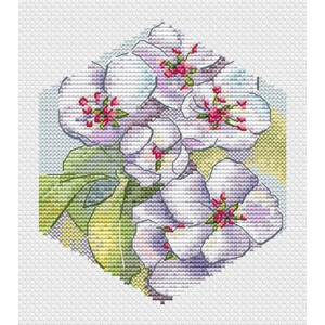 Соты. Цветущая груша