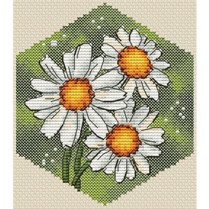 Соты. Ромашка