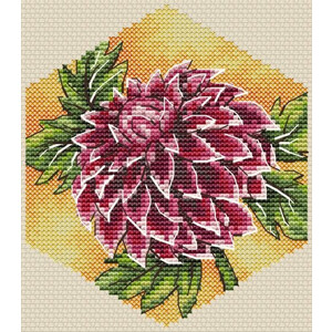 Соты. Георгин